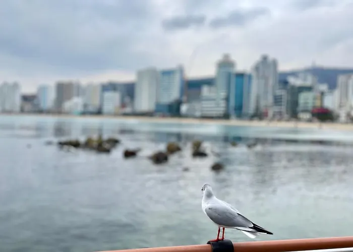 Ocean Front Ciudad Metropolitana de Busan